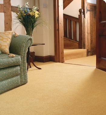 Carpet Creations