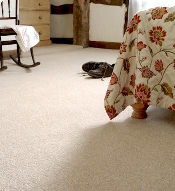 Carpet Creations - Image 3