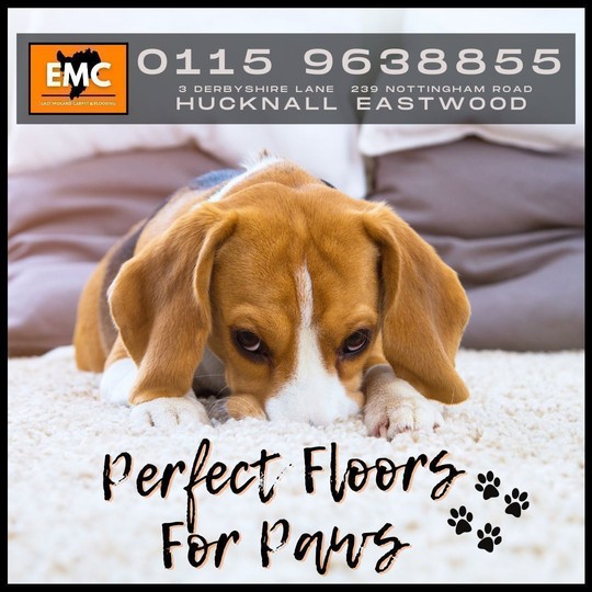 East Midland Carpets Ltd - Image 5